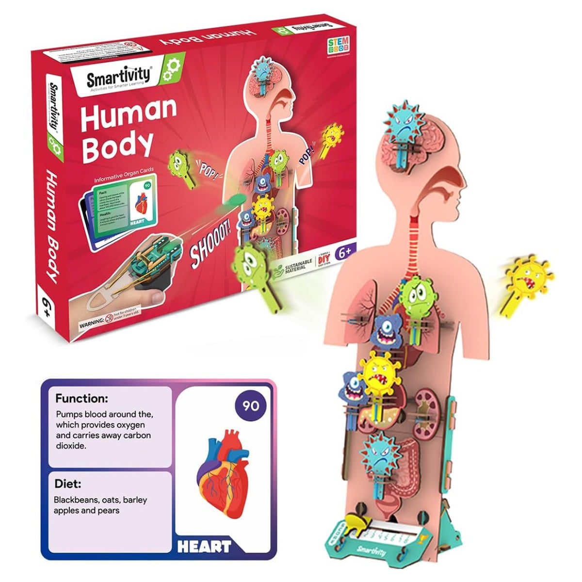 Smartivity Human Body Science Kit Unisex, 5-7 Years|The Kanaa